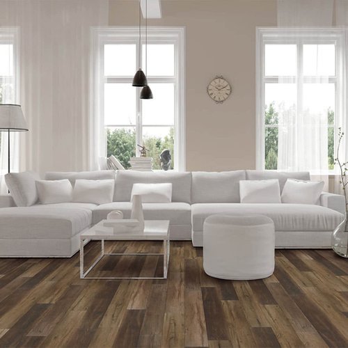 Vinyl Floors in Living Room | Haley's Flooring & Interiors