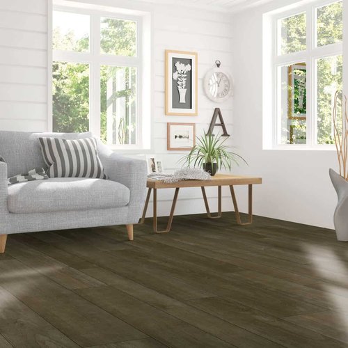 Vinyl in Living Room | Haley's Flooring & Interiors