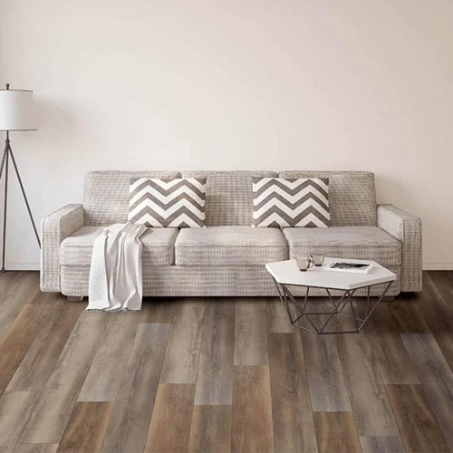 vinyl in Living Room | Haley's Flooring & Interiors