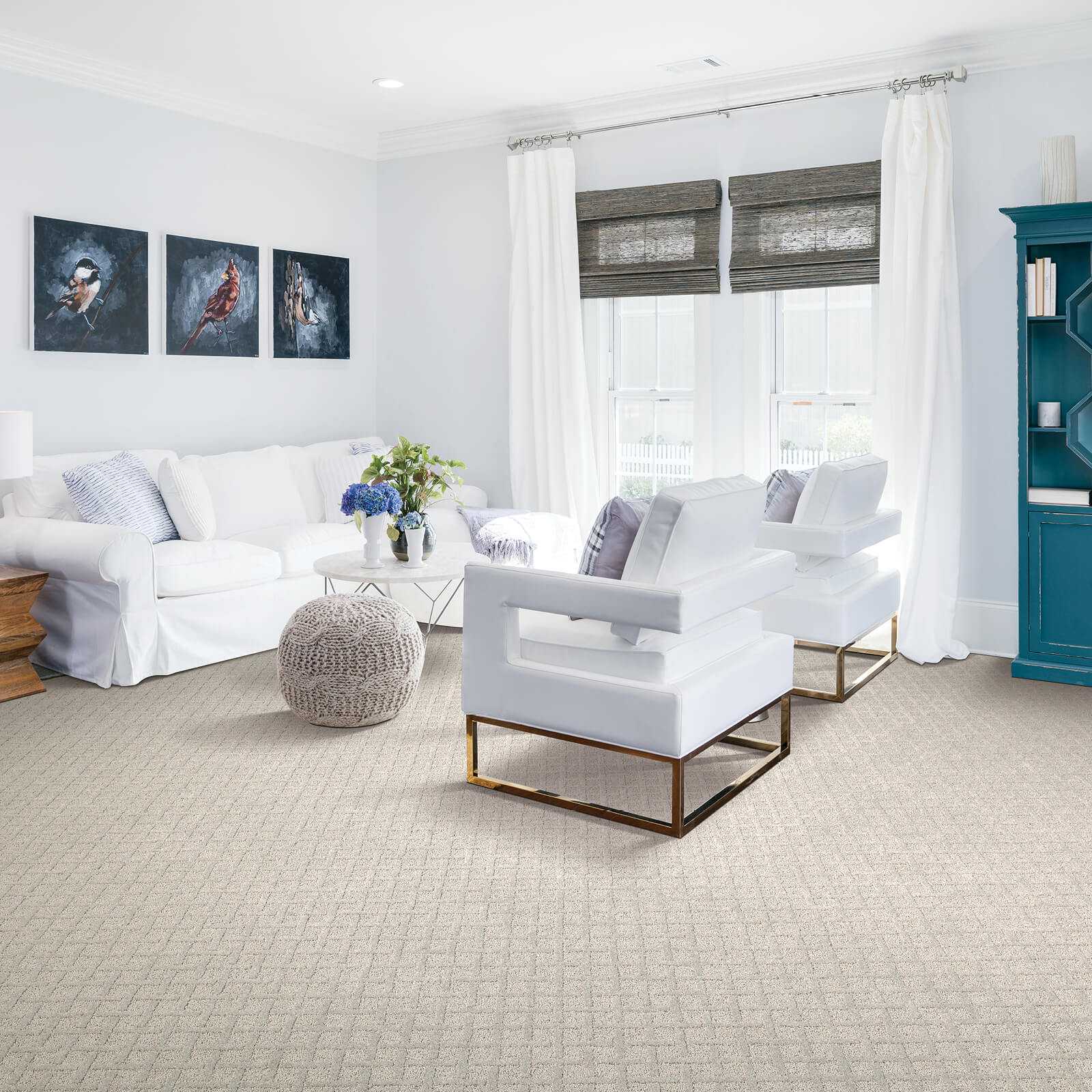 Carpeting in Living Room | Haley's Flooring & Interiors
