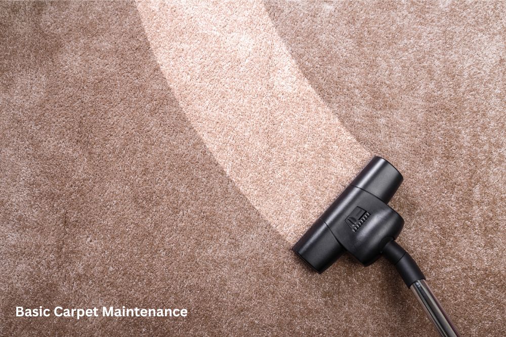 carpet cleaning | Haley's Flooring & Interiors